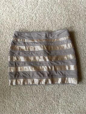 Express Sequin Stripe Mini Skirt - Gray & Gold size 4